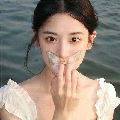 我心飞扬 封面