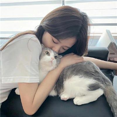 水牛骑士 封面