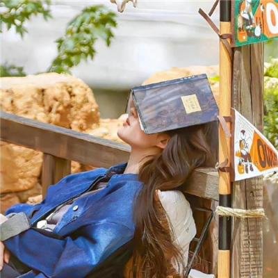 乱世伤痕:末代总督的秘密 封面